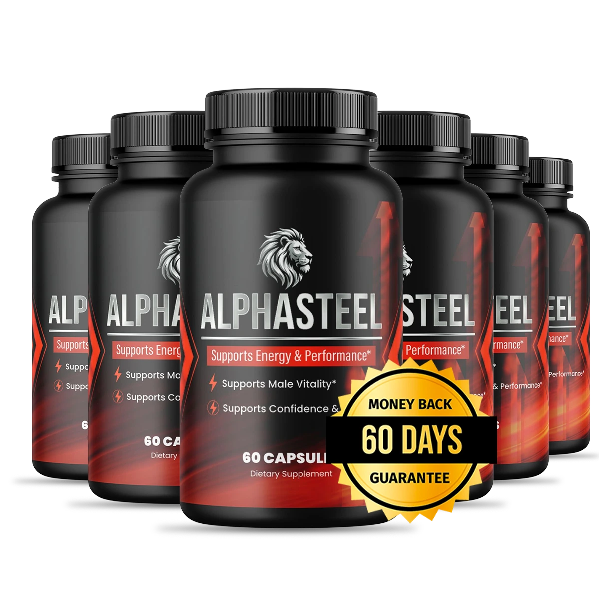 AlphaSteel 6 Bottle Best Value